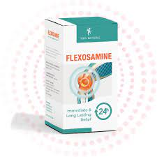 Flexosamine - zamiennik - premium - ulotka - producent